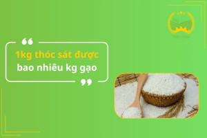 1kg thóc sát được bao nhiêu kg gạo