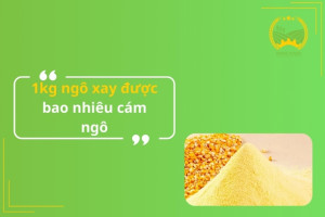 1kg ngô xay được bao nhiêu cám ngô