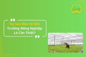 Tại Sao Bảo Vệ Môi Trường Nông Nghiệp Là Cần Thiết?