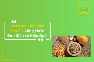 Cách Làm Cám Viên Cho Gà: Công Thức Đơn Giản và Hiệu Quả