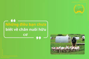 Những điều bạn chưa biết về chăn nuôi hữu cơ