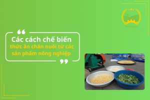 Các cách chế biến thức ăn chăn nuôi từ các sản phẩm nông nghiệp