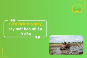 Diện tích 1ha máy cày mất bao nhiêu lít dầu