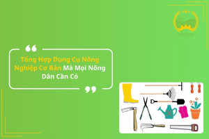 Tổng Hợp Dụng Cụ Nông Nghiệp Cơ Bản Mà Mọi Nông Dân Cần Có