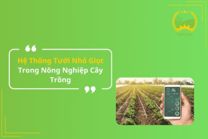 Hệ Thống Tưới Nhỏ Giọt Trong Nông Nghiệp Cây Trồng