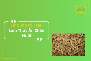 Sử Dụng Vỏ Trấu Làm Thức Ăn Chăn Nuôi