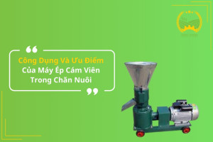 Công Dụng Và Ưu Điểm Của Máy Ép Cám Viên Trong Chăn Nuôi