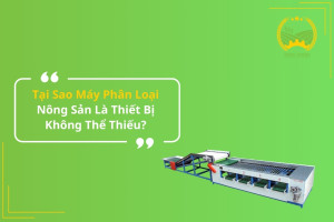 Tại Sao Máy Phân Loại Nông Sản Là Thiết Bị Không Thể Thiếu?