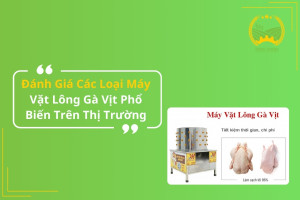 Đánh Giá Các Loại Máy Vặt Lông Gà Vịt Phổ Biến Trên Thị Trường