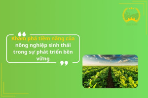 Khám phá tiềm năng của nông nghiệp sinh thái trong sự phát triển bền vững