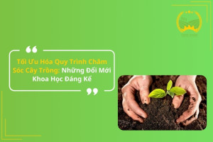 Tối Ưu Hóa Quy Trình Chăm Sóc Cây Trồng: Những Đổi Mới Khoa Học Đáng Kể