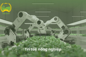 Tình trạng ứng dụng trí tuệ nhân tạo vào nông nghiệp ở Việt Nam