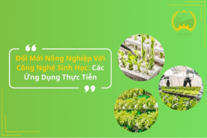 Đổi Mới Nông Nghiệp Với Công Nghệ Sinh Học: Các Ứng Dụng Thực Tiễn