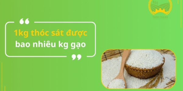 1kg thóc sát được bao nhiêu kg gạo