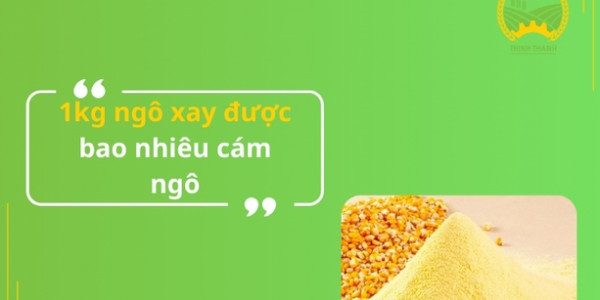 1kg ngô xay được bao nhiêu cám ngô