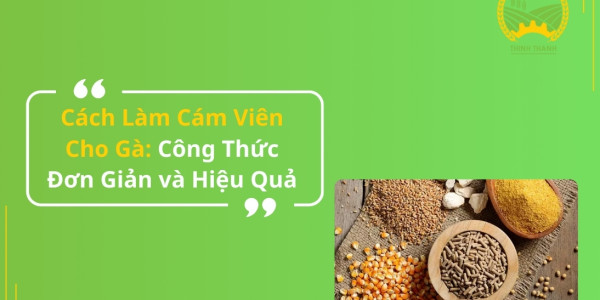 Cách Làm Cám Viên Cho Gà: Công Thức Đơn Giản và Hiệu Quả