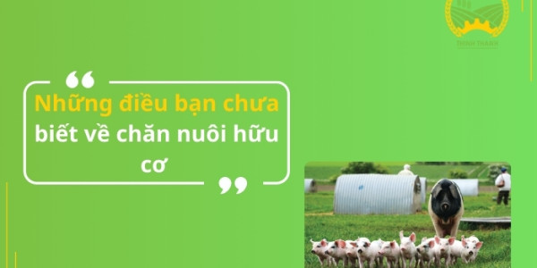 Những điều bạn chưa biết về chăn nuôi hữu cơ