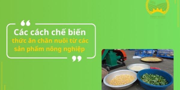 Các cách chế biến thức ăn chăn nuôi từ các sản phẩm nông nghiệp