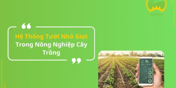 Hệ Thống Tưới Nhỏ Giọt Trong Nông Nghiệp Cây Trồng