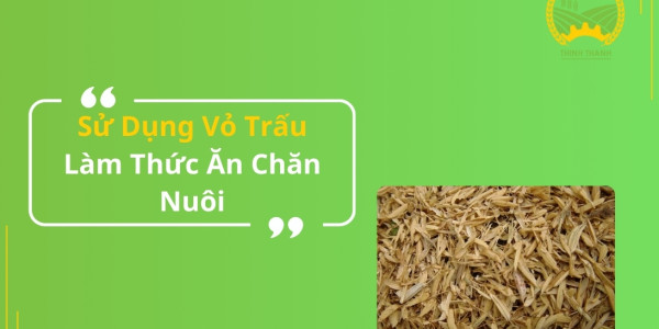 Sử Dụng Vỏ Trấu Làm Thức Ăn Chăn Nuôi