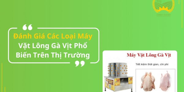 Đánh Giá Các Loại Máy Vặt Lông Gà Vịt Phổ Biến Trên Thị Trường