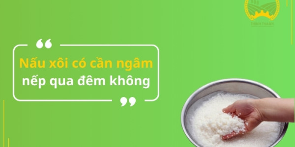 Nấu xôi có cần ngâm nếp qua đêm không