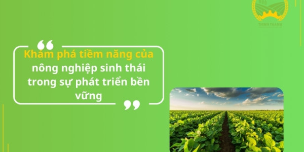 Khám phá tiềm năng của nông nghiệp sinh thái trong sự phát triển bền vững