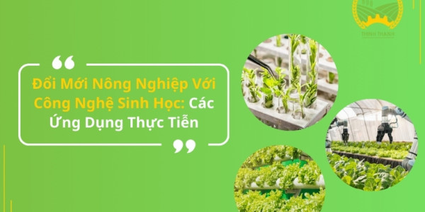 Đổi Mới Nông Nghiệp Với Công Nghệ Sinh Học: Các Ứng Dụng Thực Tiễn